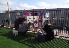 Wildbreien op grote hoogte